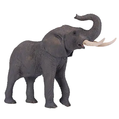 £12.50 • Buy Mojo AFRICAN BULL ELEPHANT Wild Animal Model Figure Toys Plastic Forest Jungle