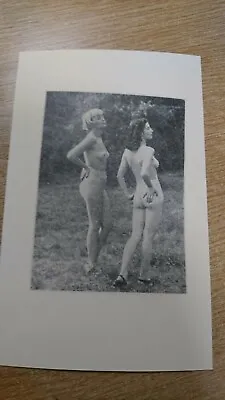 Vintage Risqué Nude Naturist Outdoors Female Models Postcard. German. 1940's Rex • £3.50
