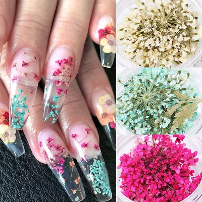 3D Dried Flowers Nail Art Accessory Charms Natural Floral Stickers Nails DIY • £1.91