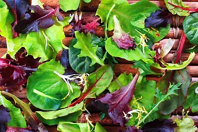£2.59 • Buy 1000 X Winter Mix Baby Leaf Mixed Lettuce Seeds - Cut & Come Again Salad Leaf