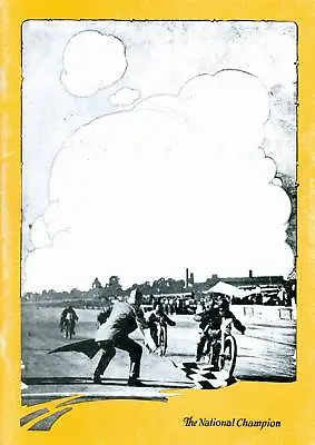 1920 HARLEY DAVIDSON  THE NATIONAL CHAMPION   BROCHURE Antique Reproduction • $31