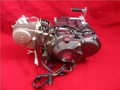 Pit Bike Lifan 125cc Electric Start 4 Speed Semi Auto Engine & Mikuni Carb B/S • £371