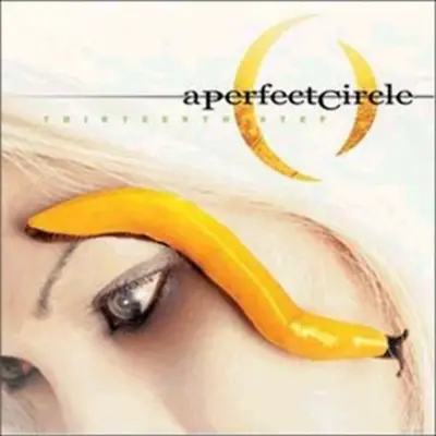 A Perfect Circle - Thirteenth Step NEW Sealed Vinyl LP Album • $36.99
