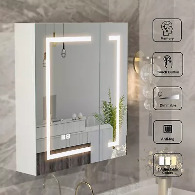 LED Bathroom Mirror Cabinet Double-door Storage Lockers Medicine Cabinet • $109.99