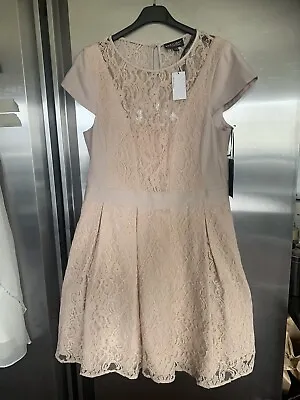 BNWT Stunning Nude  Shade Lace Occasion Dress Spotlight By Warehouse Sz16 • £12.99