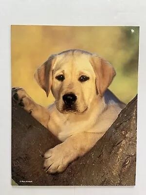 Vintage 90s Puppy Folder Ron Kimball Yellow Lab Dog Cute 3 Ring Purss Grrrs Mead • $6.55