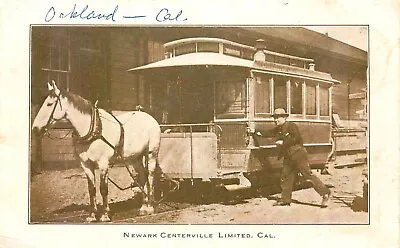 Newark Centerville Horse Drawn Trolley Alameda Ca Vintage Postcard (sx 740) • $16