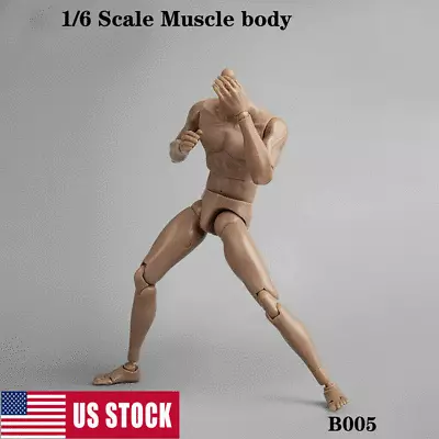 12inch Toy Male Action Figure Muscular Body For 1/6 Scale Man No Head Figure Toy • $24.99