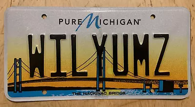 Colorful Mackinac Bridge Vanity Auto License Plate   Wilyumz   Wil Yumz Williams • $28.99