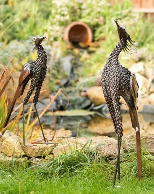 Metal Secretary Bird Garden Ornament Sculpture Art -Handmade Recycled Metal Bird • £45.95