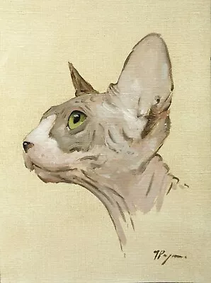 Original Art - Oil Painting Of A Sphynx Cat - Portrait By Uk Artist J Payne • $62.17