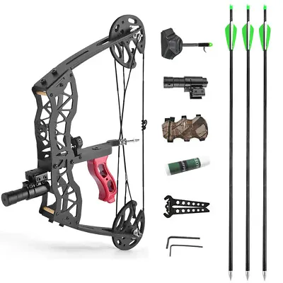 16  Mini Compound Bow Arrow Set 25lbs Fishing Hunting Archery Right Left Hand • £15.23