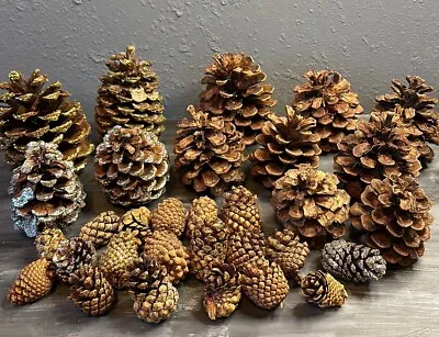 Pinecones Home Decor Vase Filler  Lot Of 32 Natural And Glittered Assorted Sizes • $12