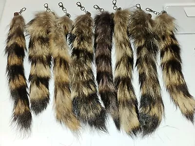 Raccoon Tail On Key Ring & Chain Real Raccoon Fur 11.5   Long NATURAL COLOR • $7.99