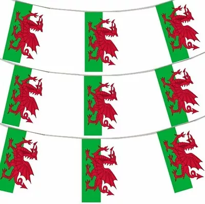 12 FT Welsh Flag Rectangular Bunting Wales Six Nations Rugby Decoration 11 Flags • £1.99