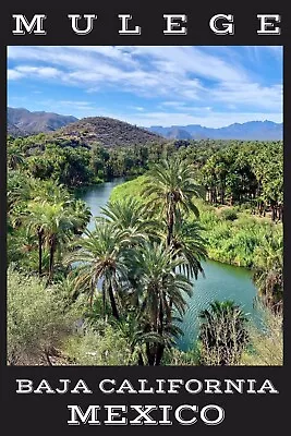 Mulege Mexico Travel Poster New Giclée UV Of Print Baja California Sea Of Cortez • $24