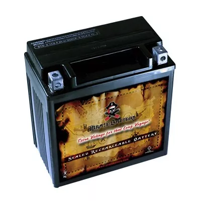 YTX16-BS  High Performance - Maintenance Free - Sealed AGM Motorcycle Battery • $49.90