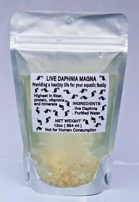 125+ Live Daphnia Magna Freshwater Fleas Tank Raise Cultures Live Fish Foods • $21.99