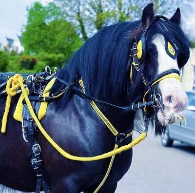 Quick Hitch Driving Harness • £180