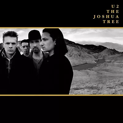 U2 The Joshua Tree BANNER 3x3 Ft Fabric Poster Tapestry Flag Album Cover Art • $24.95