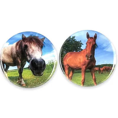Horse Set Of 2 - 2.25 Inch Magnets For Fridge Kitchen Whiteboard Cute Magnets • $7.35