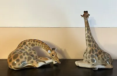 Vintage Large Lomonosov Porcelain Sitting Giraffe Figurines - Russian - USSR • £59.95