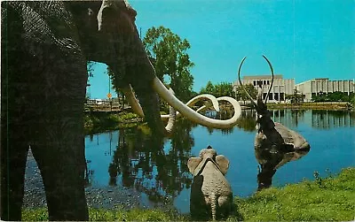 C1960 Rancho La Brea Tar Pits Hancock Park Los Angeles California Postcard A • $9.99