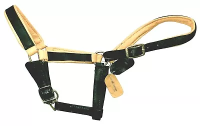 Miniature Foal/Shetland Leather Halters Head Collars With Soft Leather Padding • £12.98