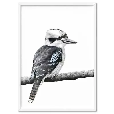 Kookaburra Wall Art Print. Cheeky Australian Native Bird. Kids Nursery | ANA-33 • $44.95