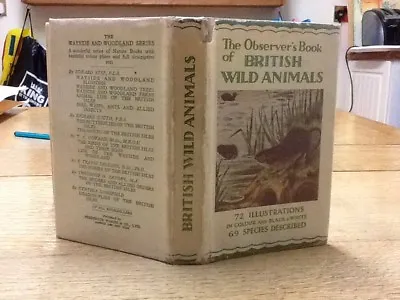 £23.99 • Buy Observers Book Of British Wild Animals 1939 2nd Edition 