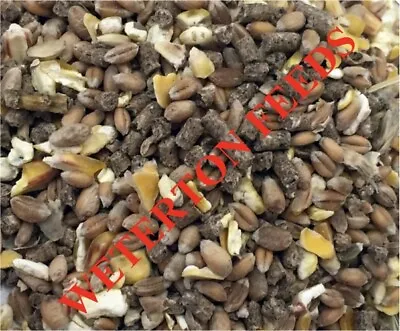 20Kg Mixed Corn With Layers Pellets Feed Hens Ducks GM FREE MAIZE FREE DELIVERY • £15.99