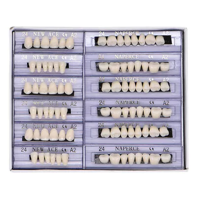 168pc Dental Acrylic Resin Tooth Shade 24# A2 Denture Full Set Teeth Upper Lower • $13.69