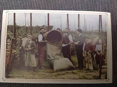 Nostalgia Collectors Postcard - Hop Picking In Kent - Tallying Off / Tally Man • £0.99