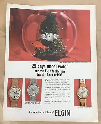 Elgin Watches Ad 1966 Vintage Original Print 1960s Retro Art Yachtsman Fishbowl • $5.50
