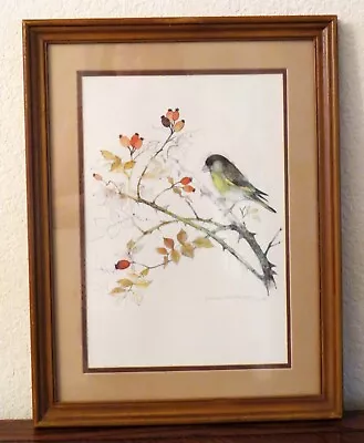 Vintage 80s Framed Danish Watercolor Bird Series Artist Mads Stage Yellow Finch • $125