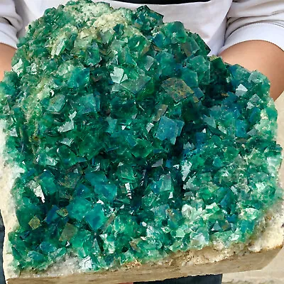 24.64lb Natural Green Cubic Fluorite Crystal Cluster Mineral Sample Healing • $0.99