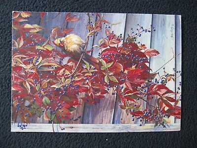 Virginia Creeper Art Card Advertisement [Jocelyn Beatty] • $8.72