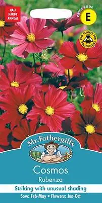 Cosmos Rubenza 30 Fresh Seeds    Cosmos Seeds    Flower Seeds    Mr Fothergills • £2.55