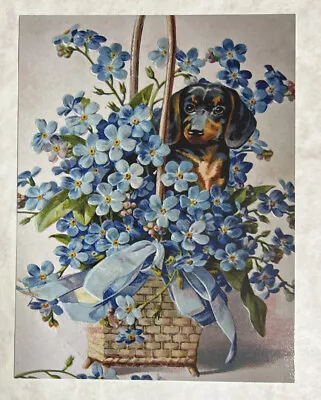 DACHSHUND PUPPY DOG BASKET VINTAGE TUCK COPY OF 1910 POSTCARD PRINT 4 1/4 X5.5” • $4.99