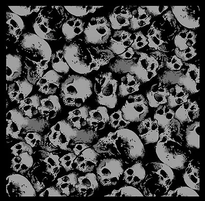 Skulls Full Biker Skull Bandana • $11.99