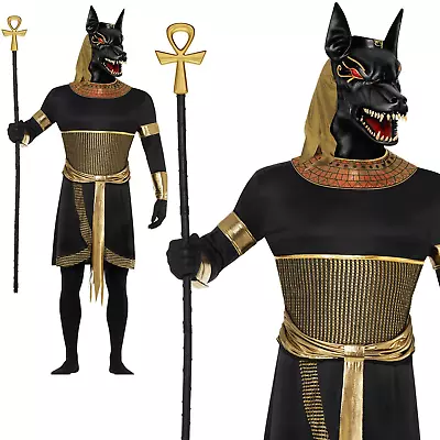 Mens Anubis Costume Egyptian God The Jackal Adult Halloween Fancy Dress New • £41.99