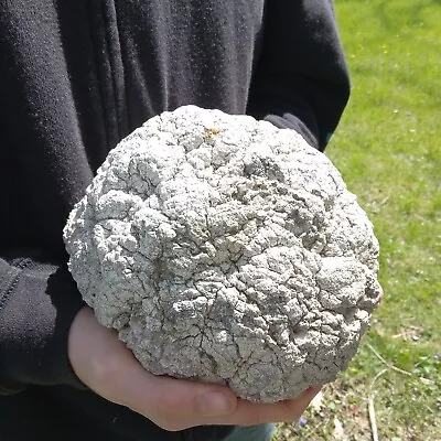 Break Your Own Large Hollow Keokuk Geode Quartz Crystals Inside 10+ Lbs • $50