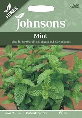 Mint Seeds 1250 Fresh Seeds    Mint Seeds    Herb Seeds    Mr Fothergills • £2.20