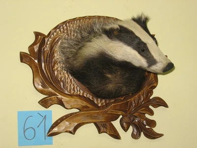 £215 • Buy Badger Head (no. 61) On The Carved Board, Taxidermy, Trophies
