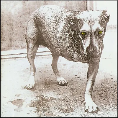 ALICE IN CHAINS - SELF TITLED CD A.k.a. THREE LEGGED DOG ~ LAYNE STALEY *NEW* • $17.98