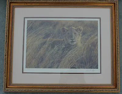 £95 • Buy Serengeti Prince Limited Edition Print By Seerey-lester