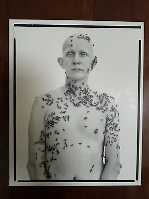 RICHARD AVEDON PORTRAITS - HC 2002 1st Edition/1st Printing W/Slipcase • $59.99