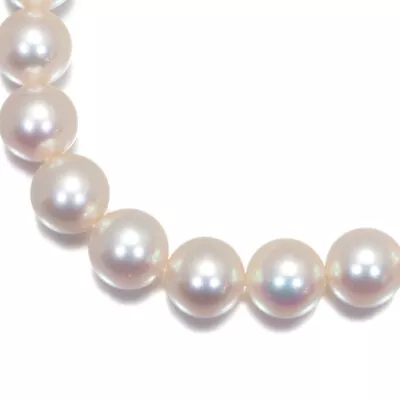 Auth MIKIMOTO Necklace Akoya Pearl 7.0-7.5mm Silver • $1716.78