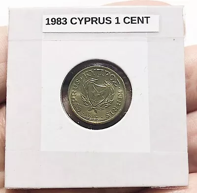 Cyprus 1 Cent Coin | 1983 AUNC WORLD COIN • $0.99