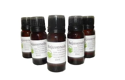 Essential Oils 100% Pure Aromatherapy 10ml Size With Multi Buy Discount • £4.99